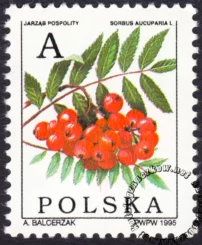 Owoce drzew liściastych znaczek numer 3401