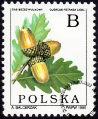 Owoce drzew liściastych znaczek numer 3402