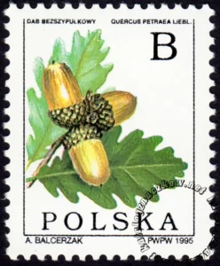 Owoce drzew liściastych znaczek numer 3402