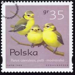 Pisklęta ptaków śpiewających znaczek numer 3419