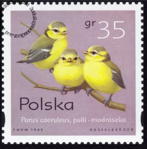 Pisklęta ptaków śpiewających znaczek numer 3419