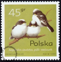 Pisklęta ptaków śpiewających znaczek numer 3420