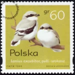 Pisklęta ptaków śpiewających znaczek numer 3421