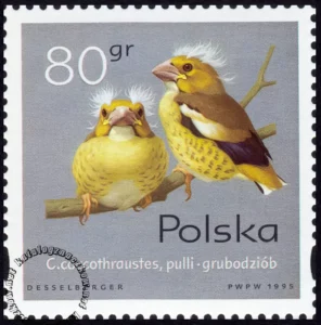 Pisklęta ptaków śpiewających znaczek numer 3422