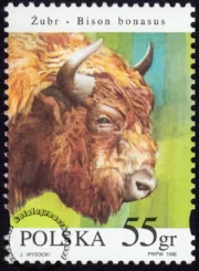 Zwierzęta pod ochroną - żubry znaczek numer 3481