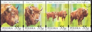 Zwierzęta pod ochroną - żubry znaczeki numer 3481-3484