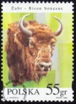 Zwierzęta pod ochroną - żubry znaczek numer 3482