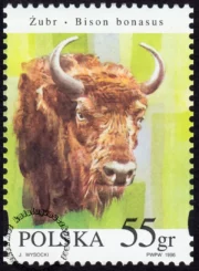 Zwierzęta pod ochroną - żubry znaczek numer 3482