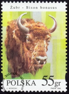 Zwierzęta pod ochroną - żubry znaczek numer 3482