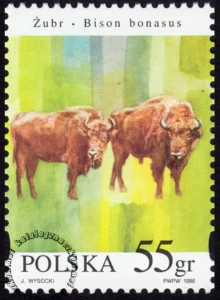 Zwierzęta pod ochroną - żubry znaczek numer 3483