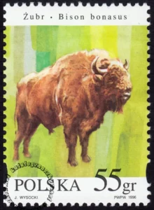 Zwierzęta pod ochroną - żubry znaczek numer 3484