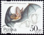 Ochrona przyrody - nietoperze znaczek numer 3508
