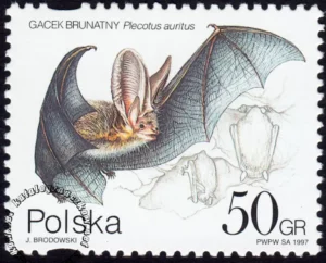 Ochrona przyrody - nietoperze znaczek numer 3508