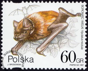 Ochrona przyrody - nietoperze znaczek numer 3509