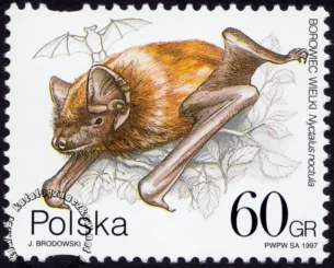 Ochrona przyrody - nietoperze znaczek numer 3509