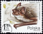 Ochrona przyrody - nietoperze znaczek numer 3511
