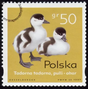 Pisklęta zagniazdowniki znaczek numer 3538