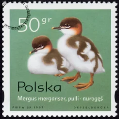 Pisklęta zagniazdowniki znaczek numer 3539