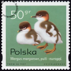 Pisklęta zagniazdowniki znaczek numer 3539