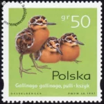 Pisklęta zagniazdowniki znaczek numer 3540