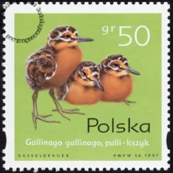 Pisklęta zagniazdowniki znaczek numer 3540