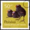 Pisklęta zagniazdowniki znaczek numer 3541