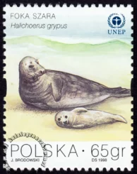 Ochrona Bałtyku znaczek numer 3558