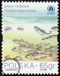 Ochrona Bałtyku znaczek numer 3559