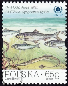Ochrona Bałtyku znaczek numer 3560