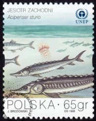 Ochrona Bałtyku znaczek numer 3561