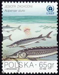 Ochrona Bałtyku znaczek numer 3561