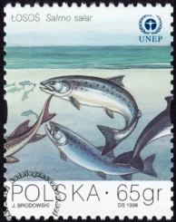 Ochrona Bałtyku znaczek numer 3562
