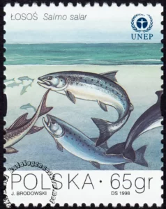 Ochrona Bałtyku znaczek numer 3562