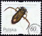 Owady wodne znaczek numer 3632