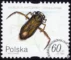 Owady wodne znaczek numer 3632