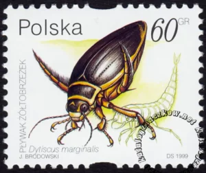 Owady wodne znaczek numer 3633