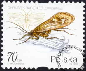Owady wodne znaczek numer 3634