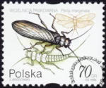 Owady wodne znaczek numer 3635