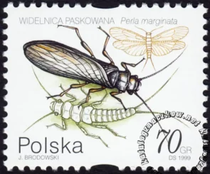 Owady wodne znaczek numer 3635