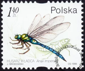 Owady wodne znaczek numer 3636