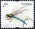 Owady wodne znaczek numer 3636