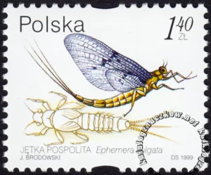 Owady wodne znaczek numer 3637