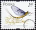 Owady wodne znaczek numer 3637