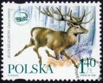 Polsko-ukraińska współpraca przygraniczna w dziedzinie ochrony środowiska znaczek numer 3639
