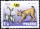 Dzikie zwierzęta i rośliny - gatunki zagrożone wyginięciem numer 3746