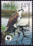 Ptaki znaczek numer 3929