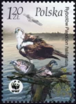 Ptaki znaczek numer 3930