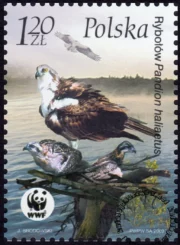 Ptaki znaczek numer 3930