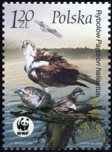 Ptaki znaczek numer 3930