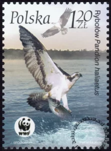 Ptaki znaczek numer 3931